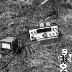 058 Turbenmoos-1986 (3)